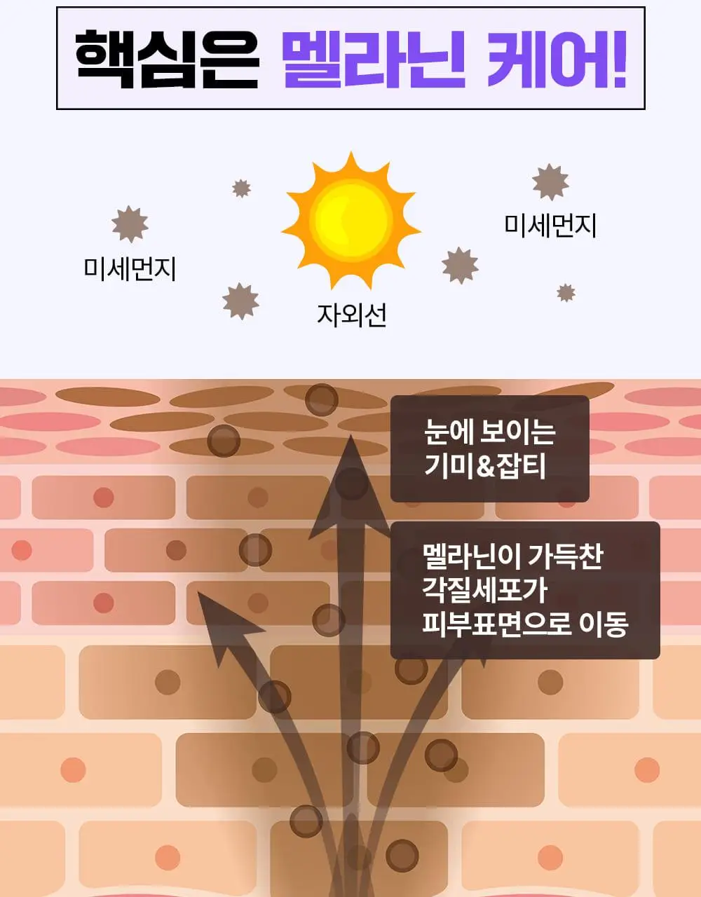 [나띠PICK][잡티케어] 더마펌 수딩 리페어 토닝 세럼 R4 30ml 기획 (+리필 30ml) 상세페이지 13